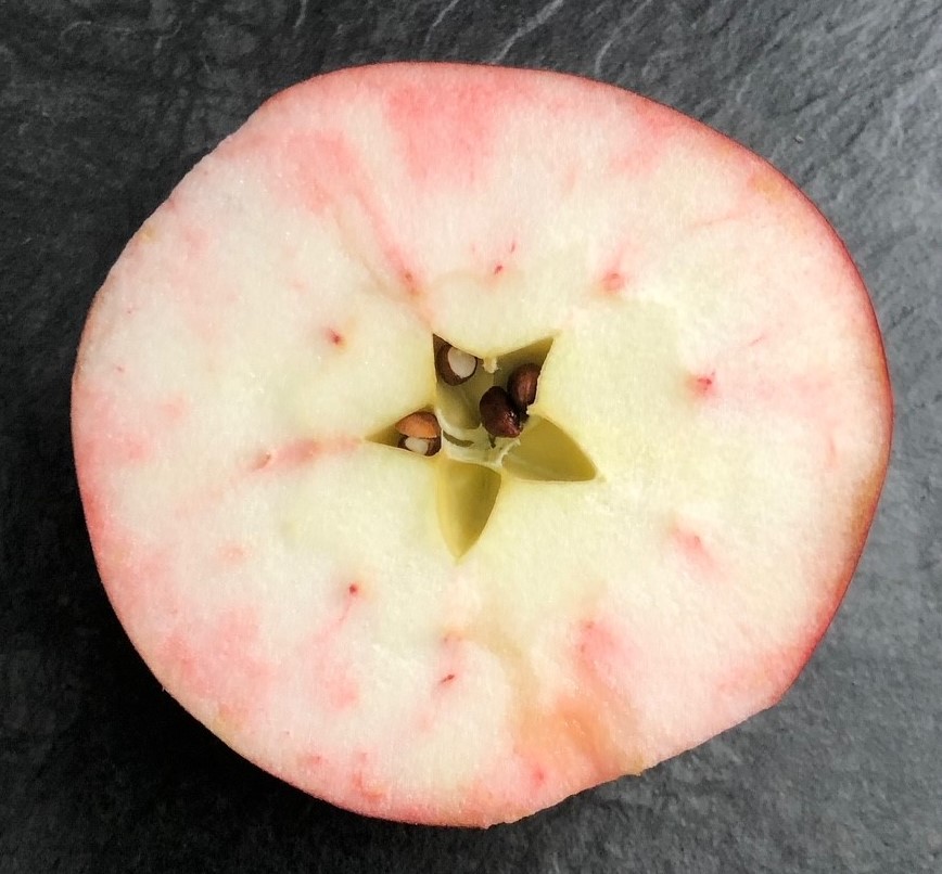 Bleeding in Ruby Mac fruit.